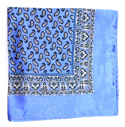 Printed-Silk-Hanky-Psh-1