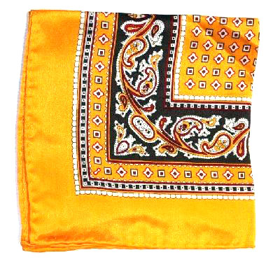 Printed-Silk-Hanky-Psh-21