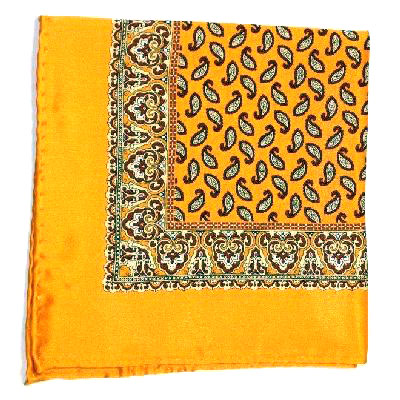 Printed-Silk-Hanky-Psh-27