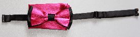 Bbt-13195